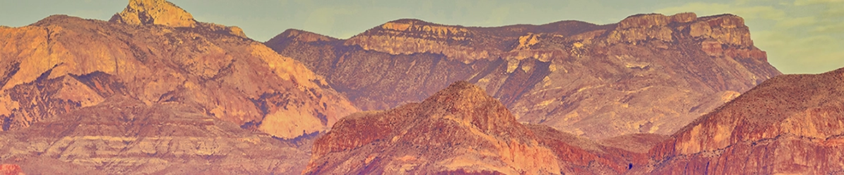 Texas landscape