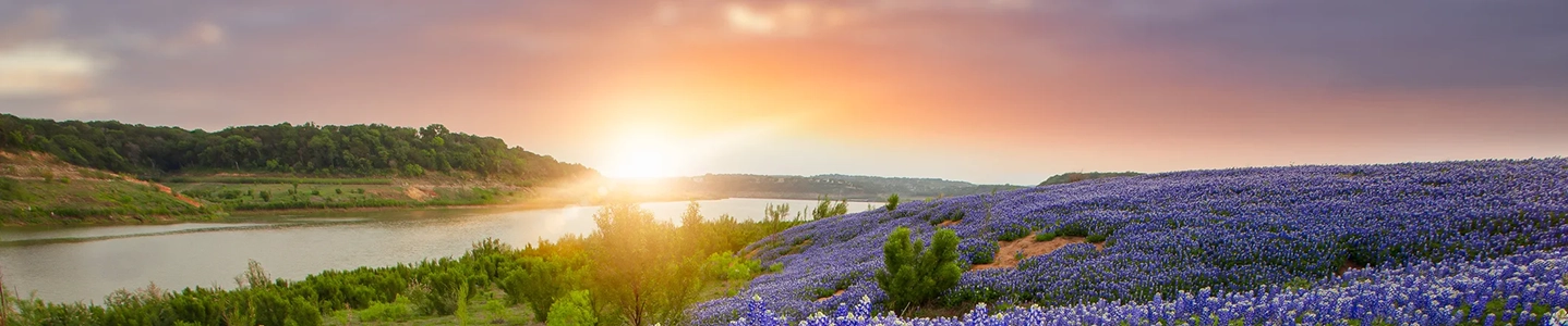 North Carolina Skyline